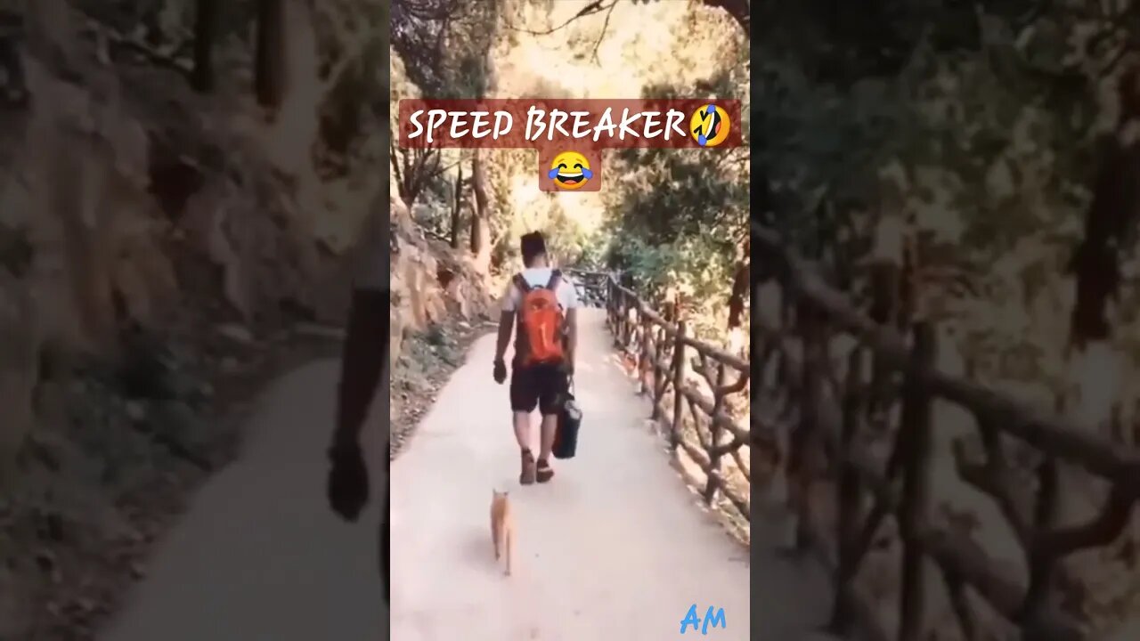 SPEED BREAKER 🤭?| CAT FUNNY VEDIO | ANIMAL VEDIO | #shorts #reels #ytshorts