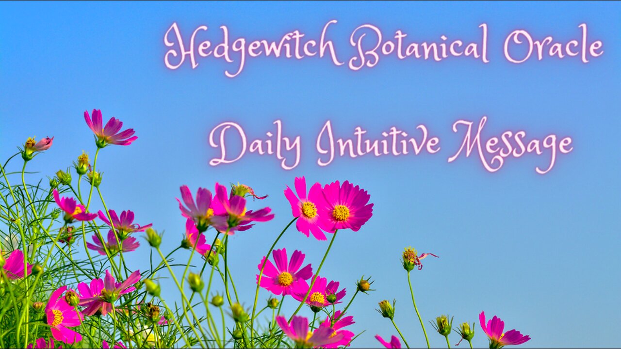 Hedgewitch Botanical Oracle ~ Daily Intuitive Message