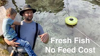 Fish Farming Done Right - Alpine Trout Farming