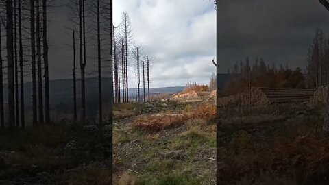 #shorts im Harz