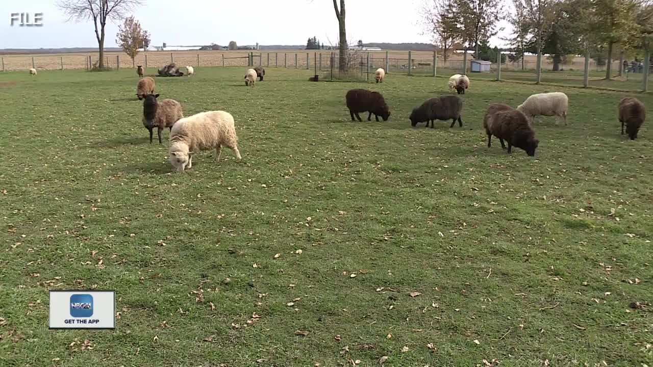 Mulberry Lane Farm open for Mother's Day Drive-thru experience