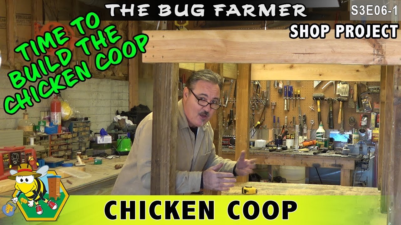 Time to Build the Chicken Coop