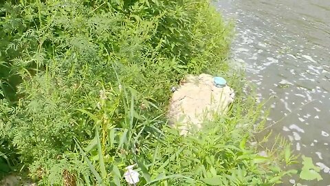 Scoping out a spot below the Fox River dam