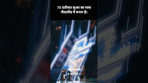 #5 - नीदरलैंड के बारे में रोचक तथ्य | Interesting facts about Netherlands #loreshorts #shorts