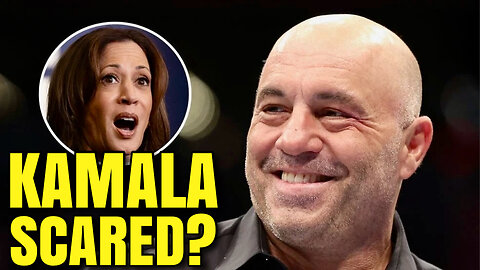 Joe Rogan Reveals Kamala Harris' Guidelines for Interview - Bubba the Love Sponge® Show | 10/30/24