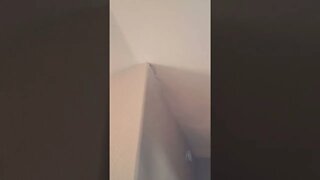 Structural cracks in a ceiling indicate a structural repair. #homeinspectordan