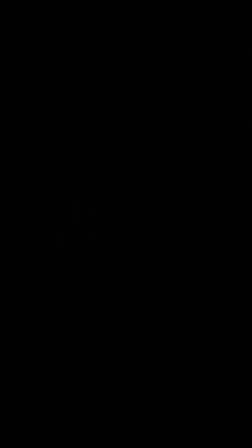 Peace through strength