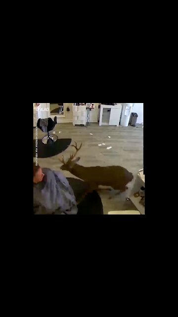 I'm ready for my appointment