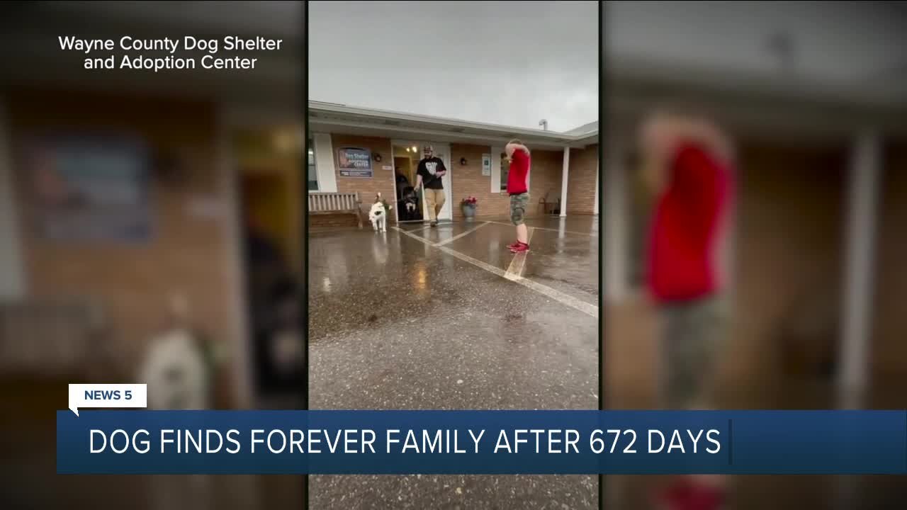 Dog adopted after spending 672 days at Wayne County Dog Shelter and Adoption Center