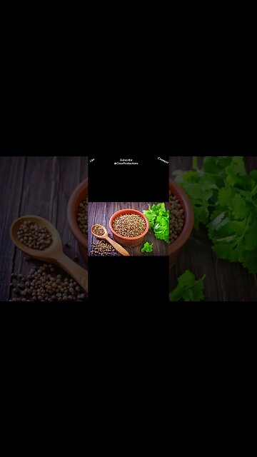 Coriander