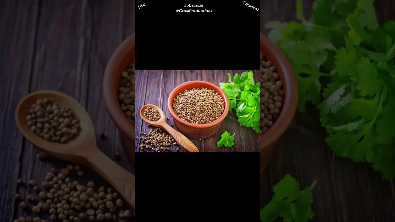 Coriander