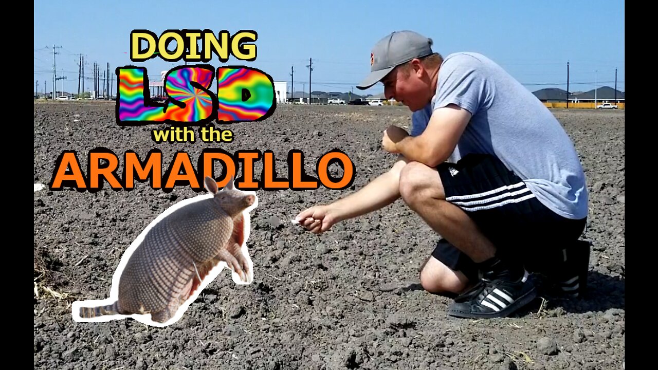 Doing LSD with the Armadillo!