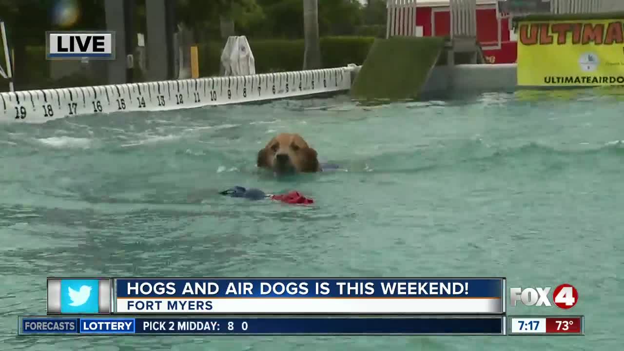 Season 4 Giving: Hogs and Air Dogs in Fort Myers this weekend