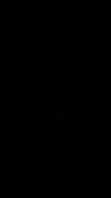 Lawyer Keith Davidson