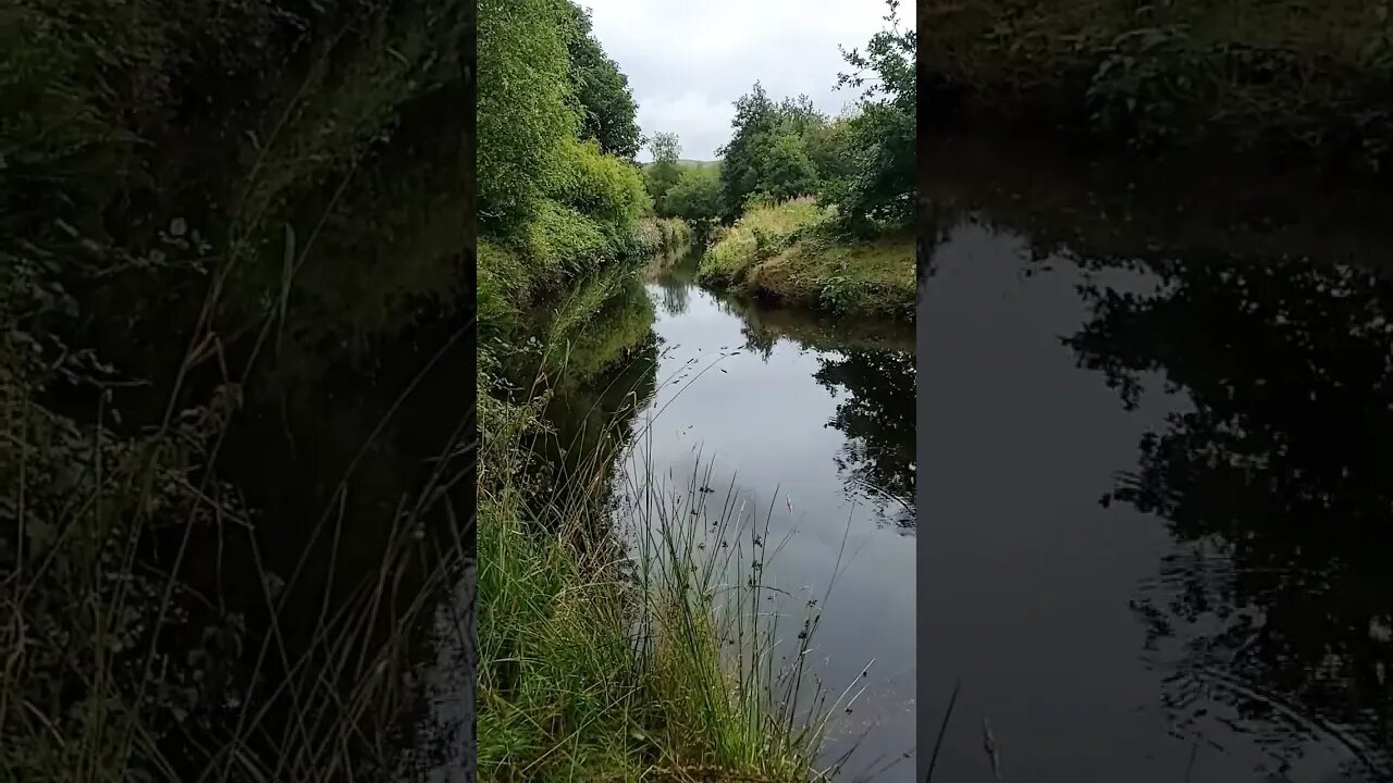 Peaceful Beauty #nature #yorkshire #peace