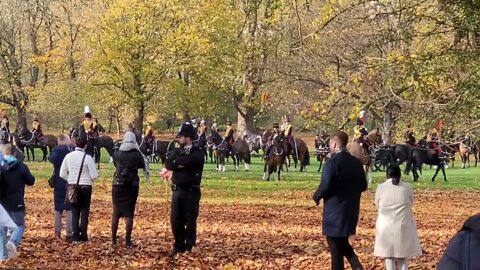 Royal horse breaks loose green park #london