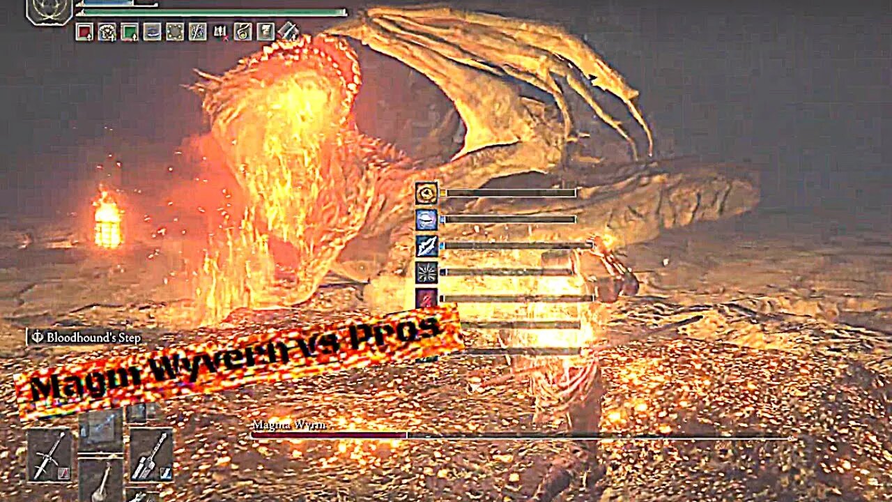 Magma Wyvern vs Pros Elden Ring