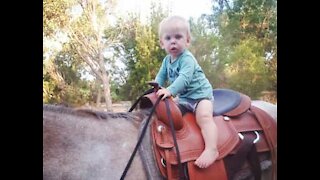 Este pequeno encantador de cavalos vive na Austrália