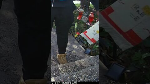 Delivery People Love To Throw My Packages! #Shorts 😬
