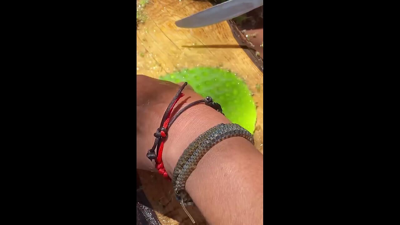 perfect cutting method of Cactus