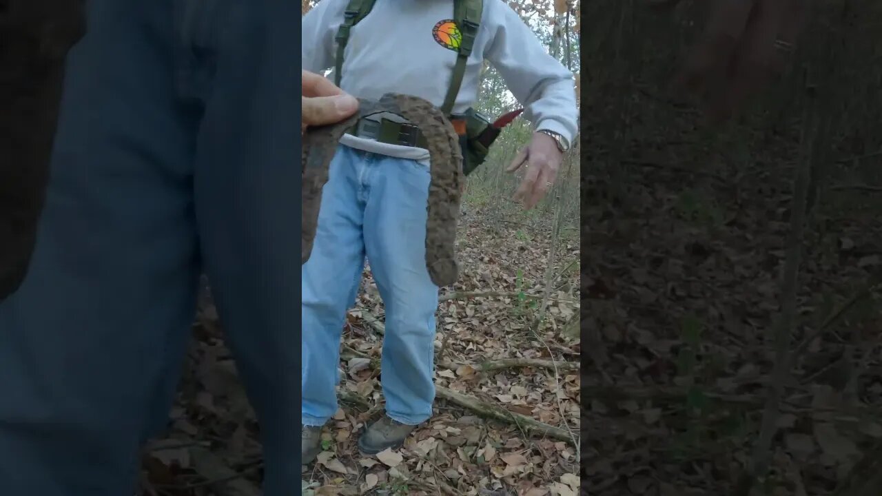 metal detecting in georgia, horseshoe