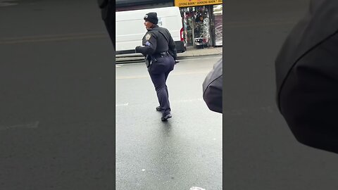 NYPD - All I did was ask for name and badge number