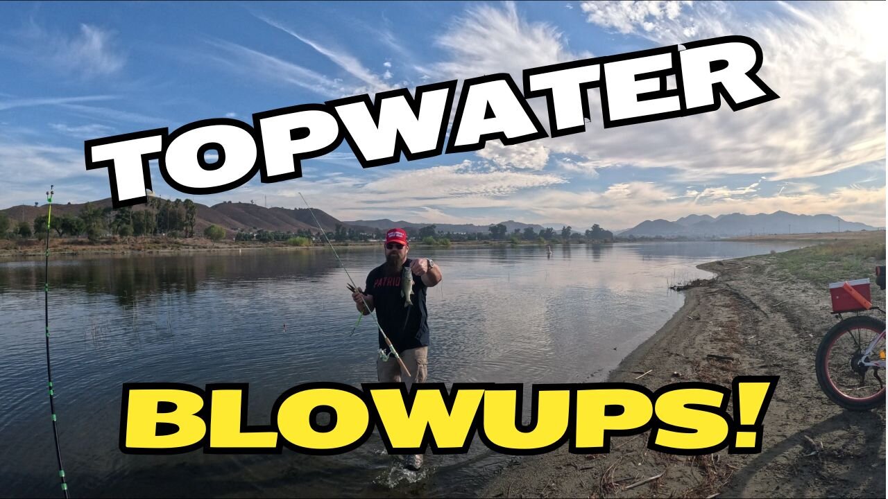 Bass Fish Stocking | Lake Elsinore | Fishing Report | Oct 2024