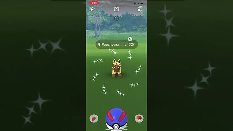 Shiny Compilation