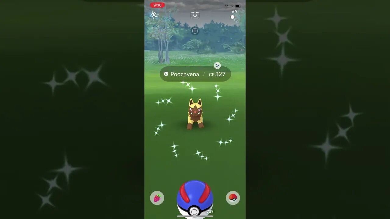Shiny Compilation