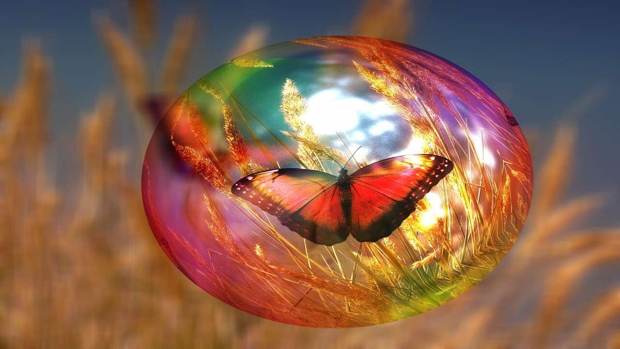 đ„ Soap Bubbles Videos