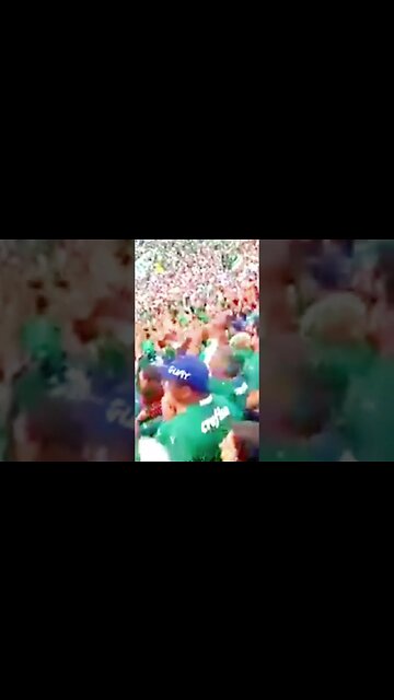 qual melhor torcida?#shorts