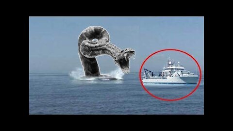 5 SEA SERPENT CAUGHT ON CAMERA