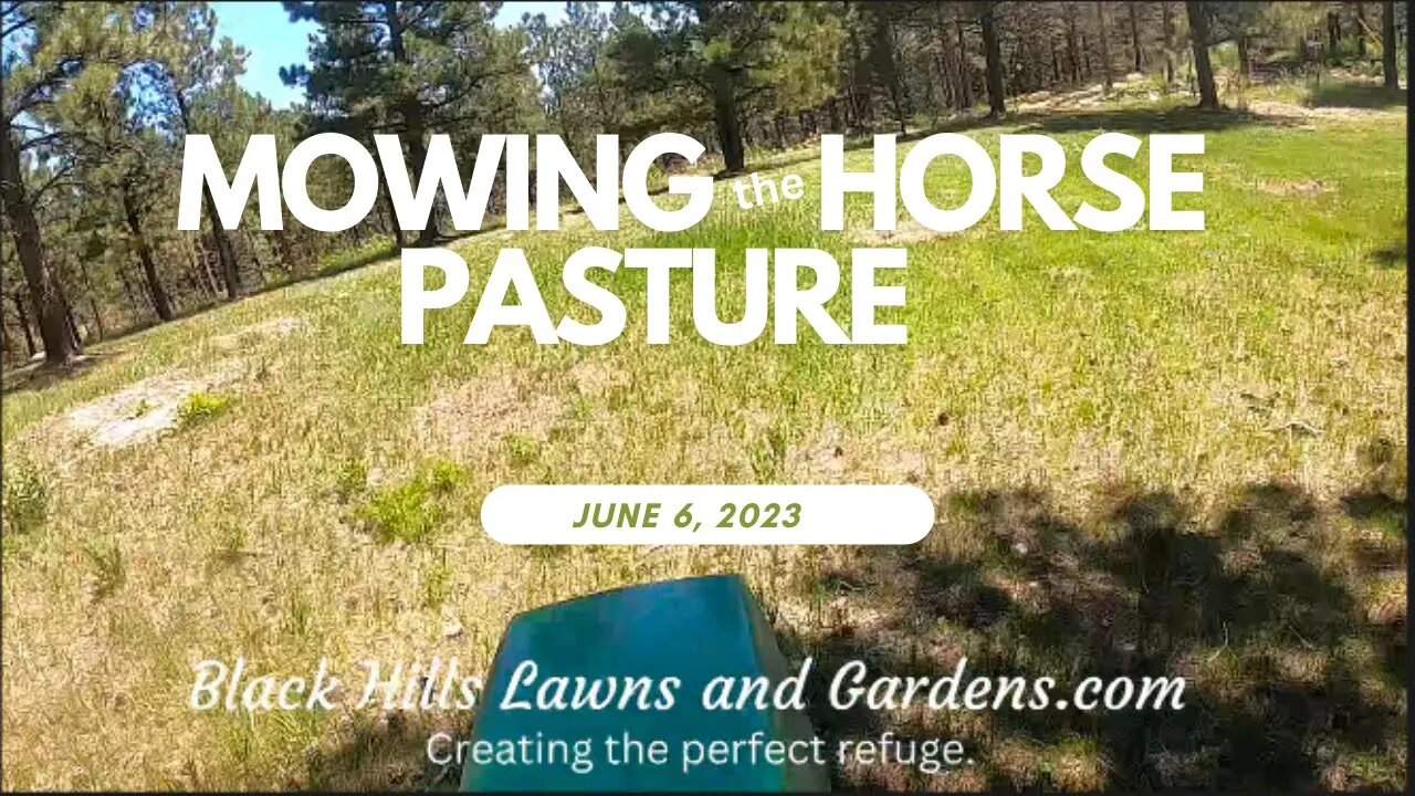 Mowing the Horse Pasture : 1st mow of the year. June 6, 2023