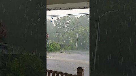 Ole Mutt does love a thunderstorm