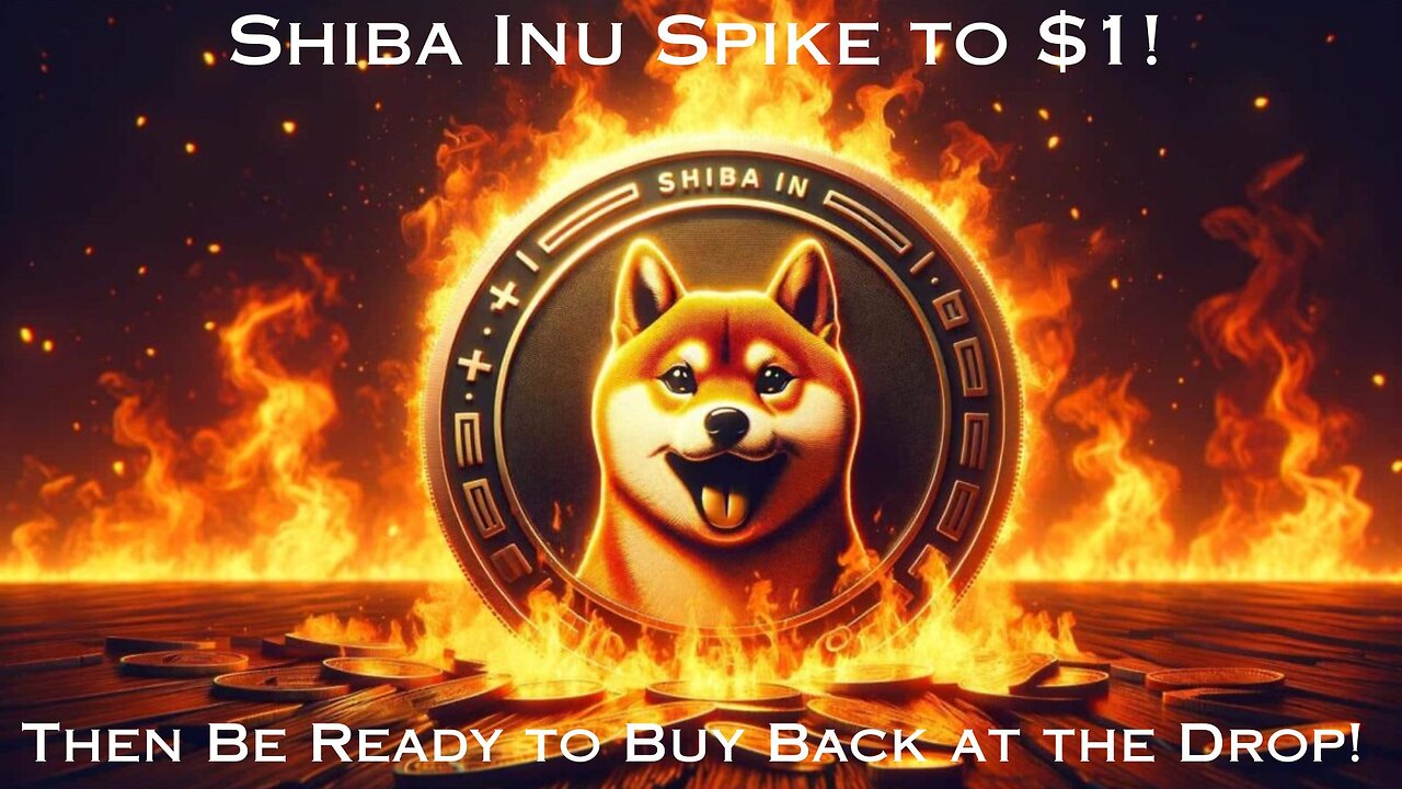 Shiba Inu Spike to $1, Then Crash, What is Next?