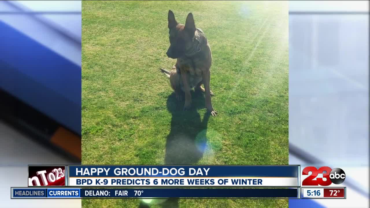 Happy Ground-Dog Day from BPD