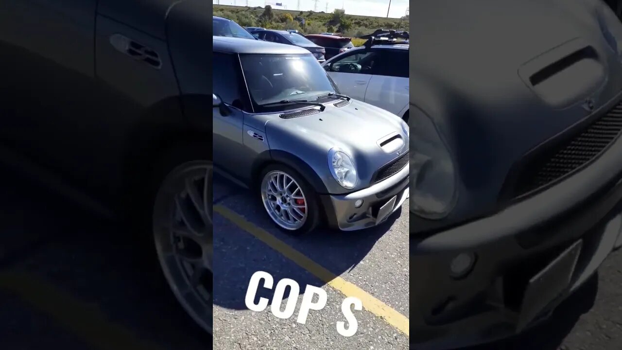 Would rip it #sfmcollective #shorts #cars #minicooper #coopers #mini #clean #baby #2022