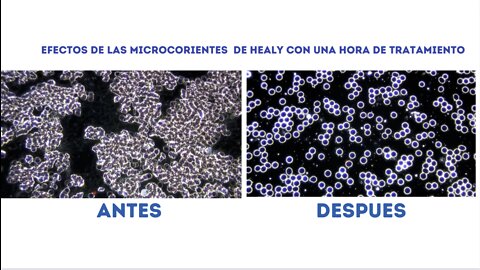 0:02 / 0:55 HEALY FRECUENCIAS PARA TU VIDA + TESTIMONIOS Lunes 31 enero 2022