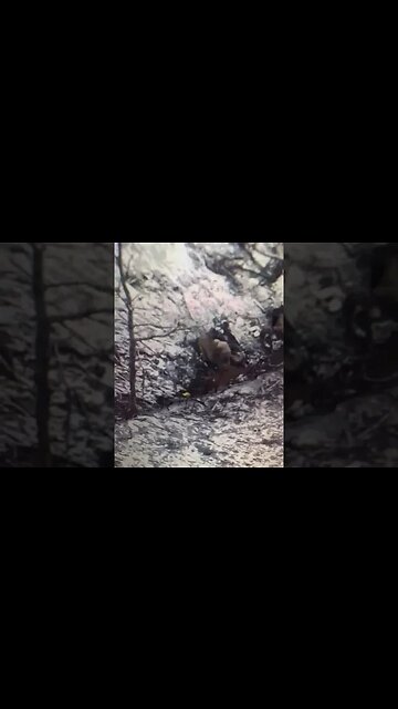 Soldado Ruso Ataca Un Dron Con Pala De Combate #guerraucrania #rusia #noticiasmundiales