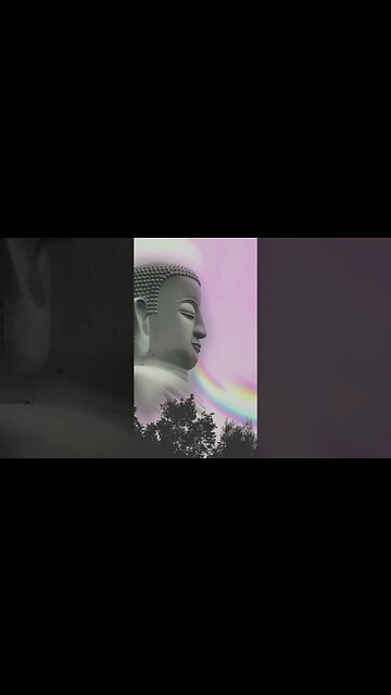 1 Minute Meditation I CREATE A LIFE FULL OF LOVE #shorts #youtubeshorts #1minutemeditation #om