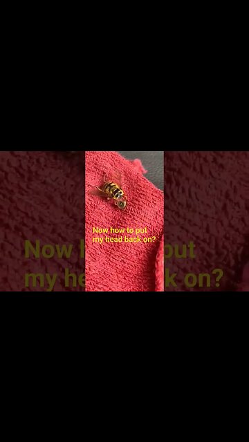 how to put my head back on again?