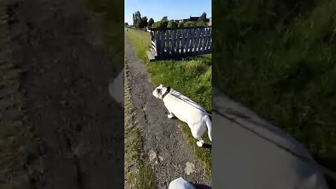 Winnie & Famke in Stavooren