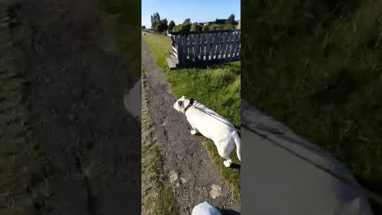 Winnie & Famke in Stavooren