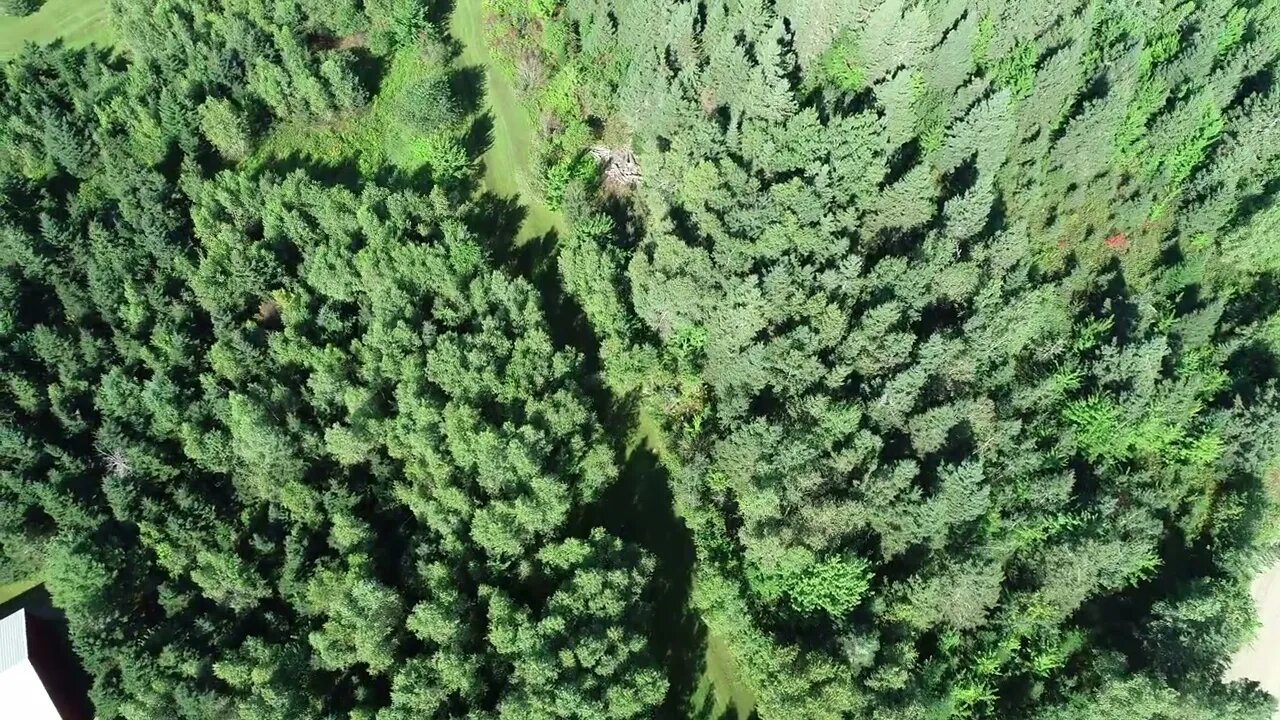 Rita and I mowed the grass yesterday, send drone up to take this video.