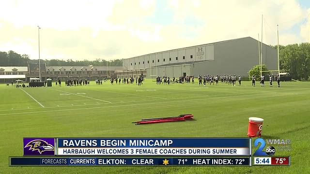 Ravens Begin Mini Camp