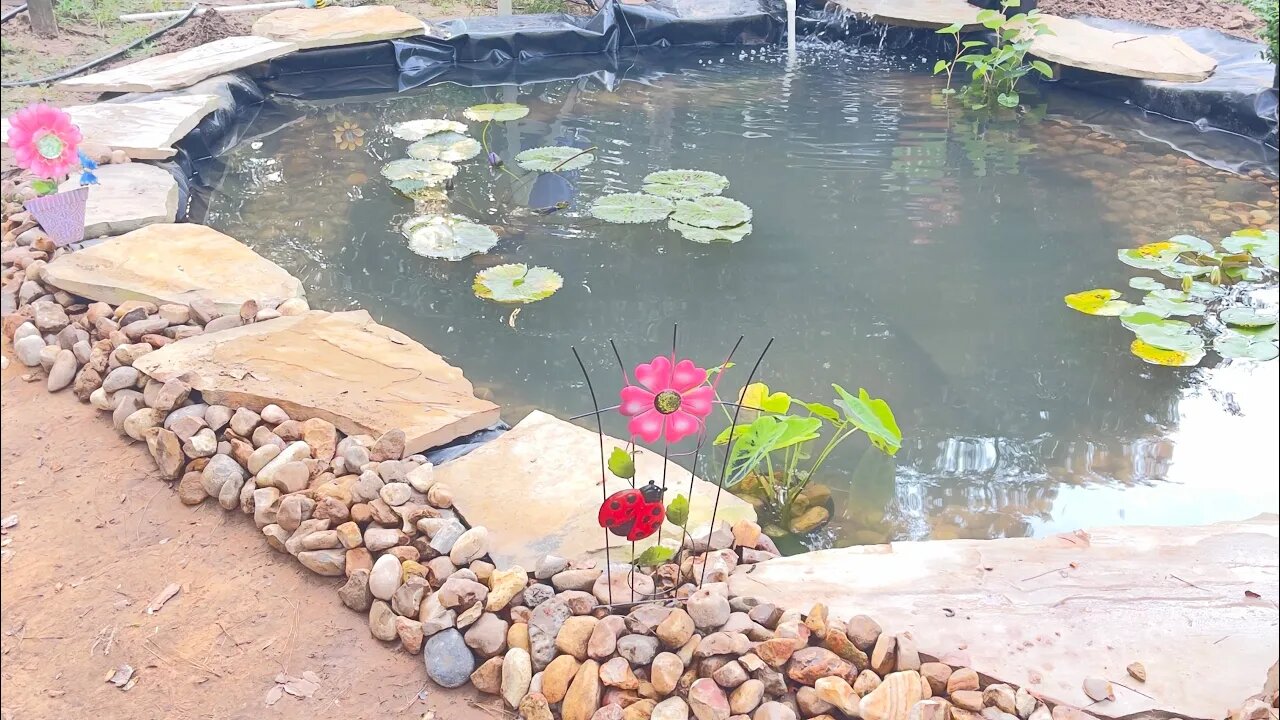 New life how exciting!