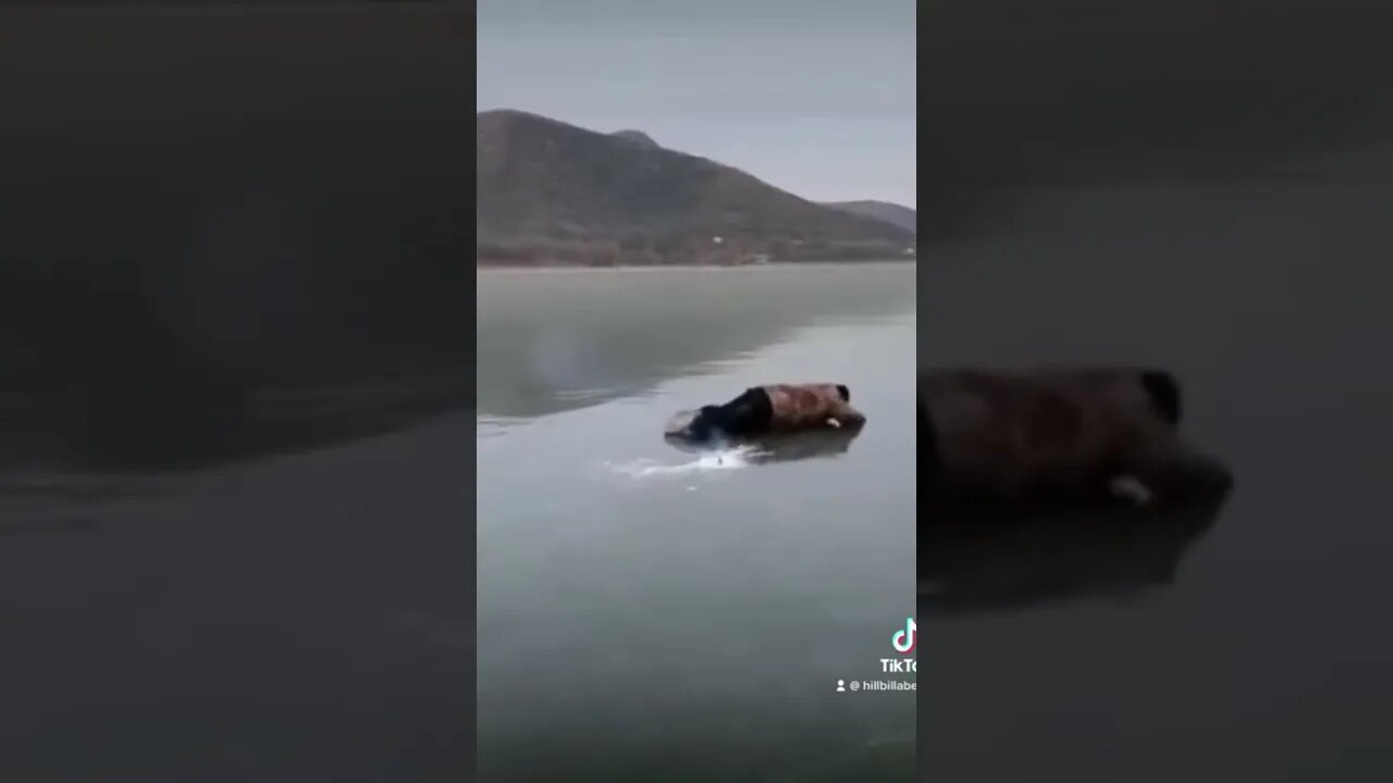 That nightmare where you’re being chased by a monster and you fall down