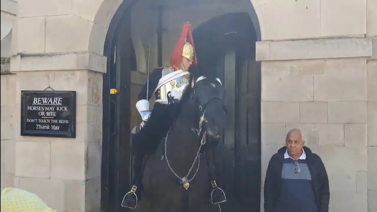 kings guard Massive shout MAKE WAY NOW tourist did not move behind the bollards #horseguardsparade