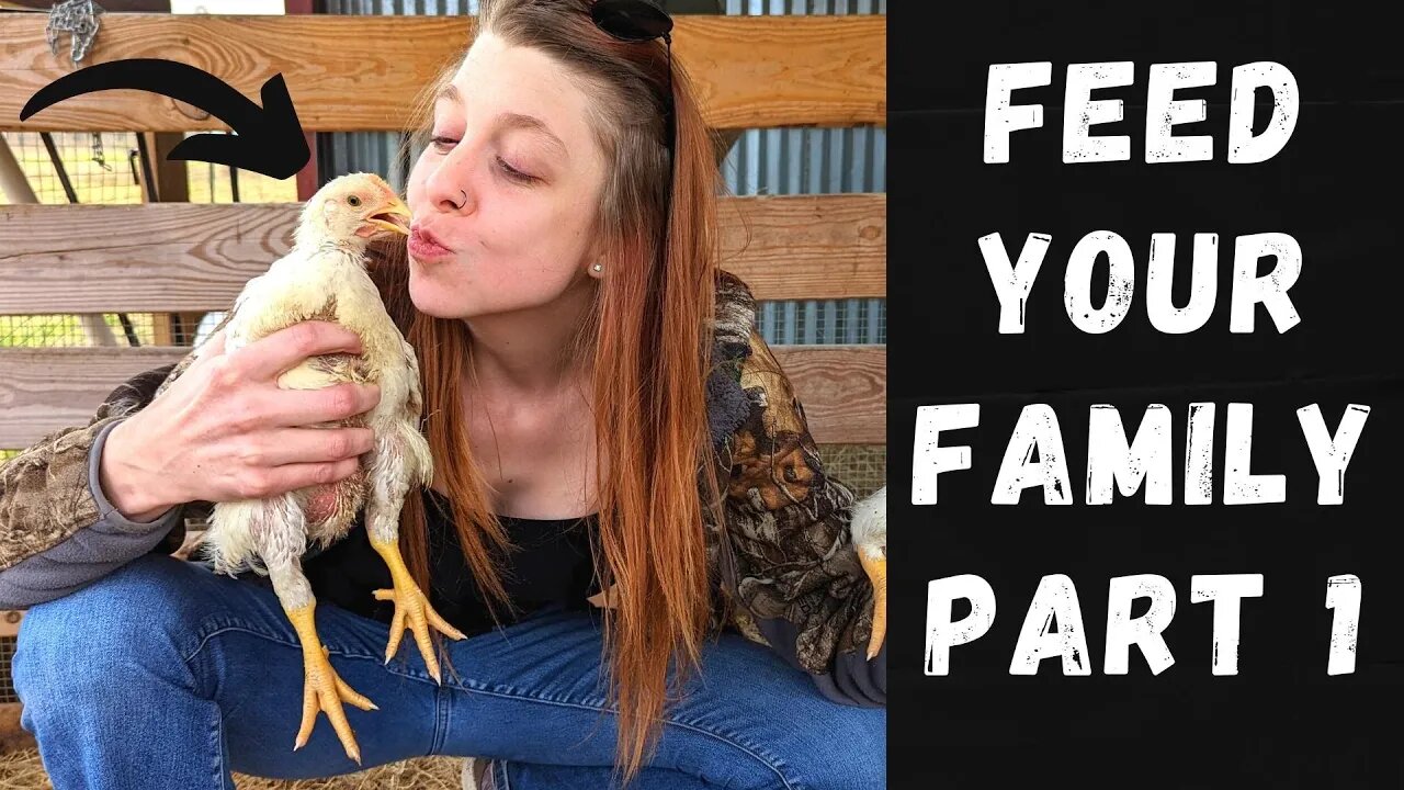 Feed Your Family for a YEAR! Part 1 | Raising Meat Chickens