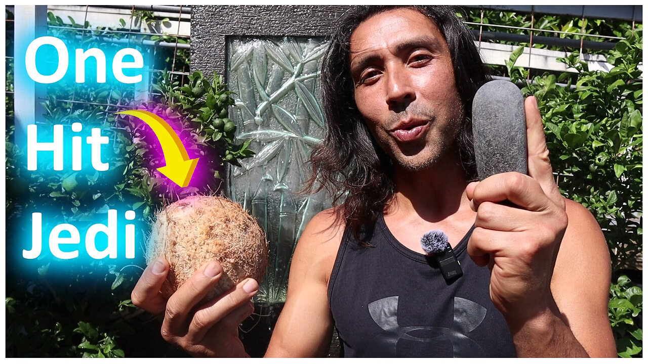 👊 Break Open A Coconut with Precision Stone Strike 🥥